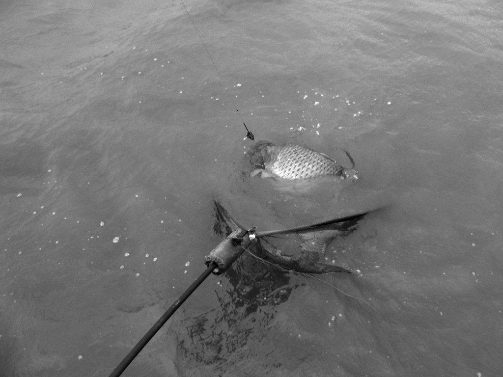 Moara Vlasiei 2 6 - 7 apr. - 14.jpg